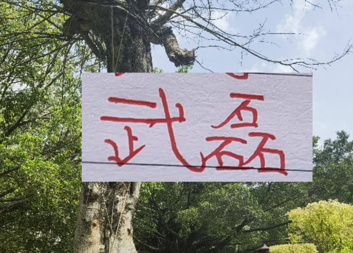 kaiyun-2月海港就要打亚冠比赛 大概率武磊+莱昂纳多 这些一哥上不了